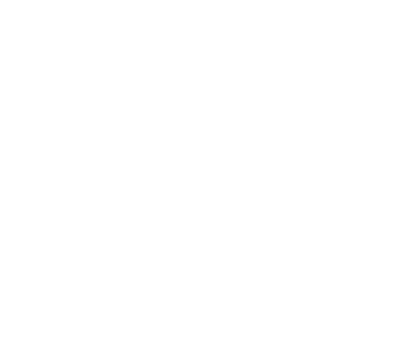 Sheds DIY